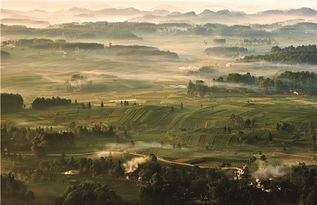 貴州出臺綠色制造三年行動(dòng)計(jì)劃