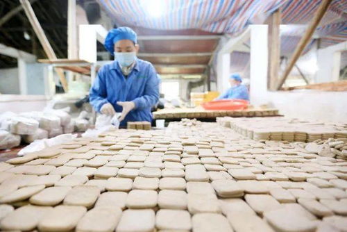 貴州大方 訂單豆干生產忙