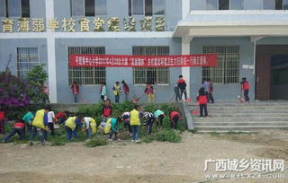 隆林平班小學開展 美麗隆林 清潔校園專項活動