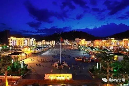 廣西隆林各族自治縣 使用說明書