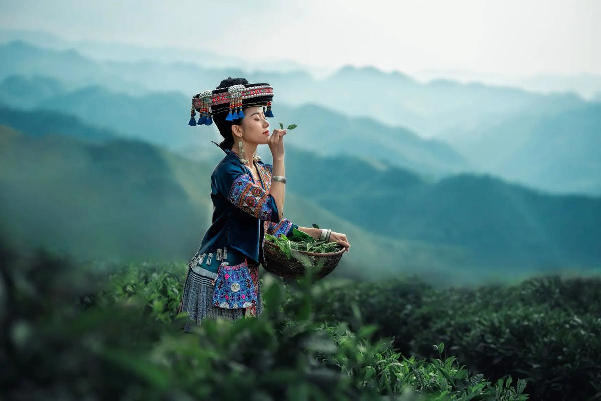 隆林茶山上的苗家妹子 民族服飾與文化交融的迷人風采