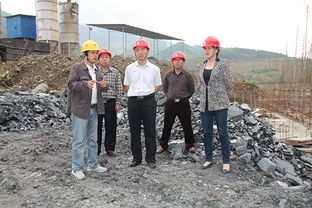 隆林各族自治縣人民代表大會工作情況概述