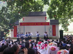 西林水牛的價(jià)格及隆林特產(chǎn)網(wǎng)介紹