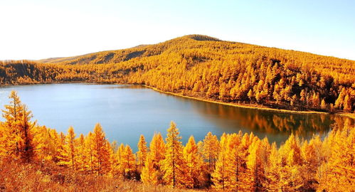 穿越草原森林和山脈 坐呼倫貝爾號(hào)列車，你會(huì)看見什么？